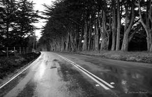 Stormy Hwy 1-6448-2 Stormy Hwy 1-6448-2
